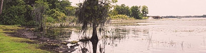 Osprey, Florida